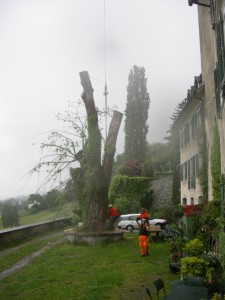 Lindentransport 23.05.05 034 